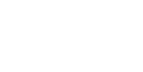 logo priveesoft