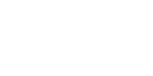 logo vaer